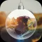 PipCameraEditor+