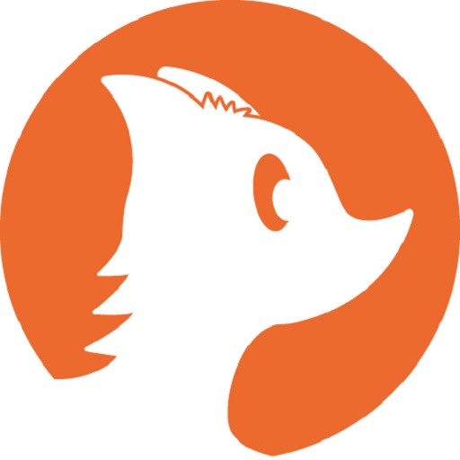 DNS Filtering for ChromeBook
