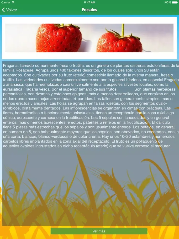 Soy de Campo iPad  স্ক্রিনশট