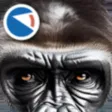 Animals of planet Earth
