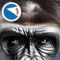 Animals of planet Earth