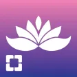 Cleveland Clinic Stress Free Now Healer's Version