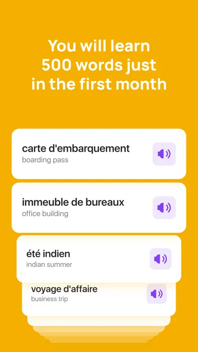 Screenshot di 10 Minute French
