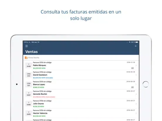 Facturación electrónica iPad  Ekran Görüntüleri