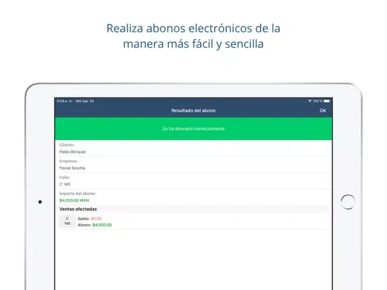 Facturación electrónica iPad  Ekran Görüntüleri