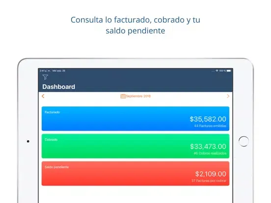 Facturación electrónica iPad  Ekran Görüntüleri