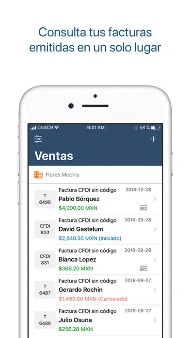 Facturación electrónica Ekran Görüntüleri