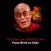 Dalai Lama : from Birth to Exile