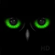 Night Eyes - Low Light Camera