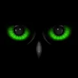 Night Eyes - Night Camera