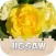Flower Jigsaw Puzzle HD Games Free