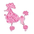 Clip N Dip Pet Boutique