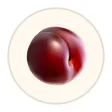Peach Plum Peach Plum
