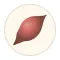 Potato Rocket