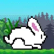 Jolly Bunny Adventure Jolly Bunny Adventure