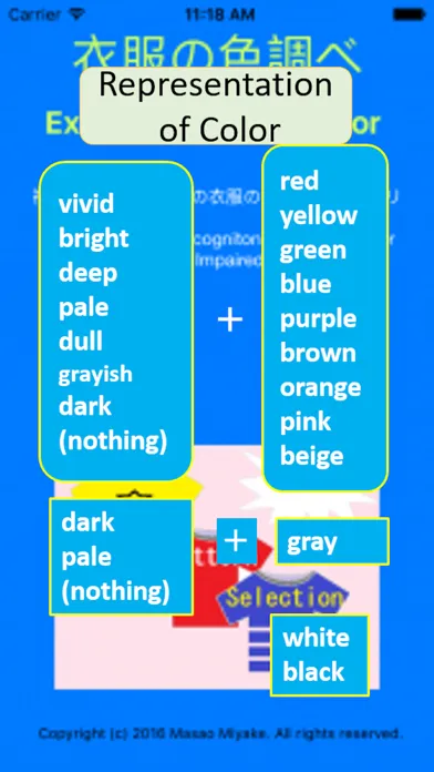 Examine Clothes Color スクリーンショット