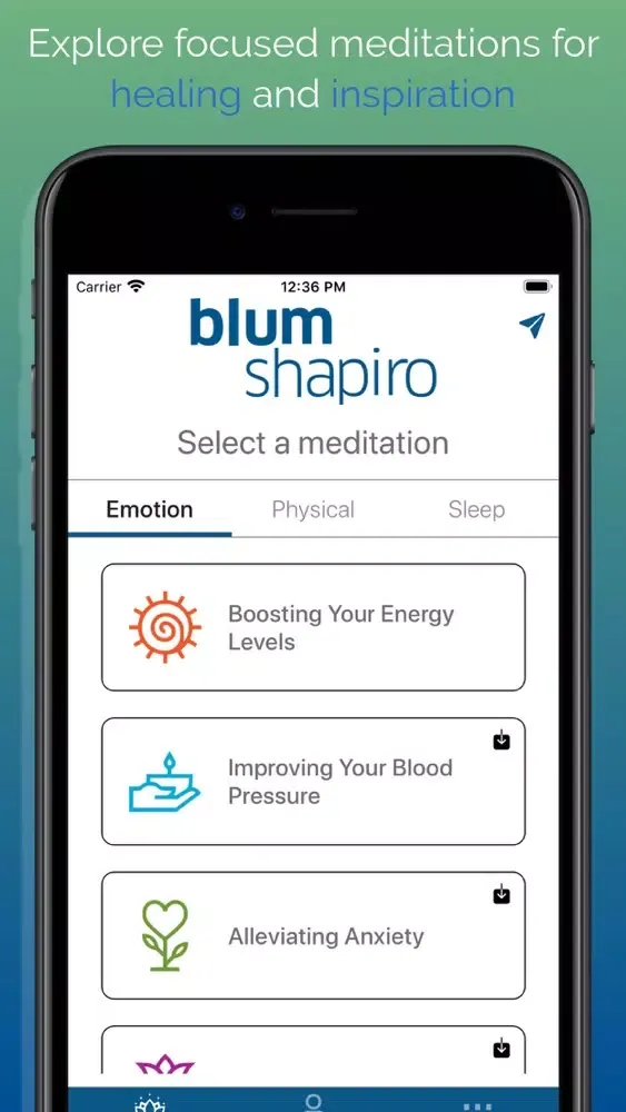 تصاویر Blum Shapiro: Mindfulness