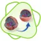 CloudLabs Cell Metabolism