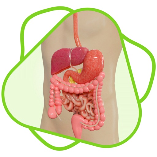 CloudLabs Digestive system