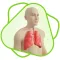 CloudLabs Respiratory system