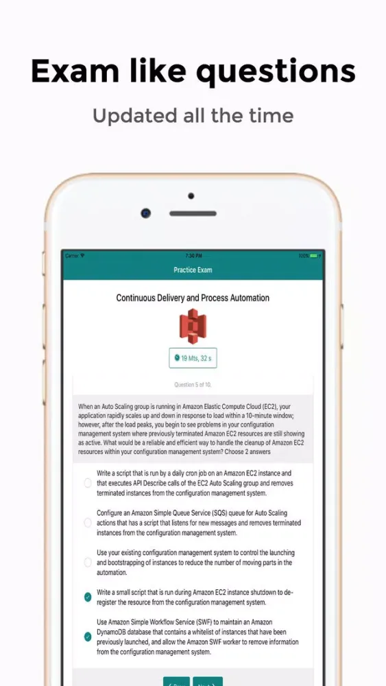 ภาพหน้าจอของ Professional - AWS DevOps Cert