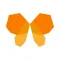 Cocoon Education