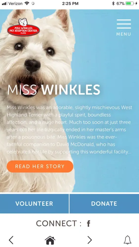 Miss Winkles স্ক্রিনশট