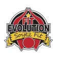 Fit Evolution