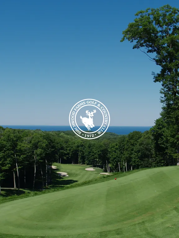 تصاویر Birchwood Harbor Springs iPad 