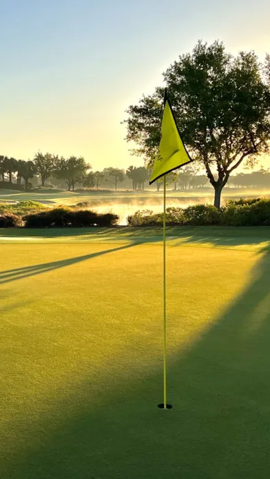 Capturas de tela do Copperleaf GC