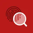 Clue Notes