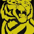 Johor Darul Takzim Unofficial Fans App