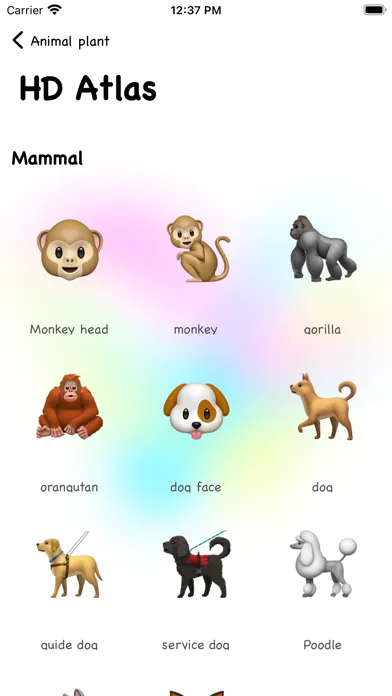 تصاویر Animals Coloring and painting
