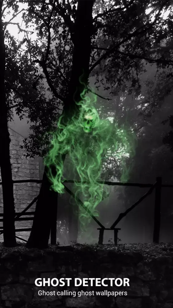 Qh88 App Detector ghost spirit Screenshots