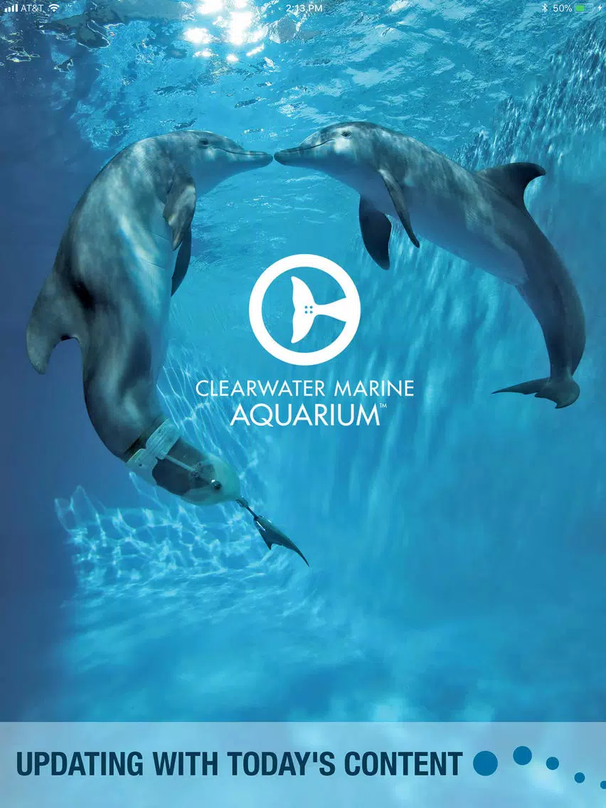 صور Clearwater Marine Aquarium iPad 