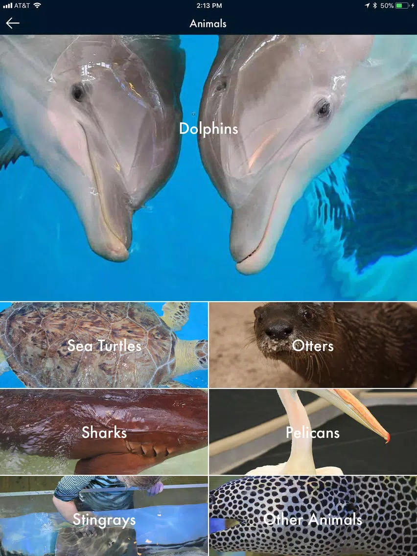 صور Clearwater Marine Aquarium iPad 