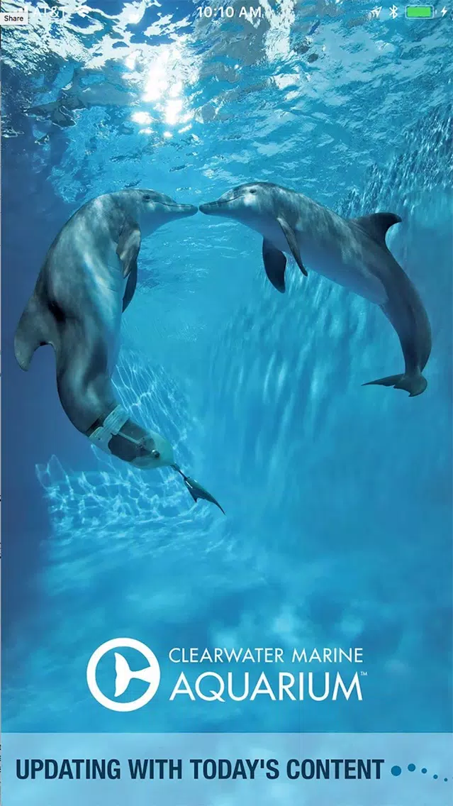 صور Clearwater Marine Aquarium