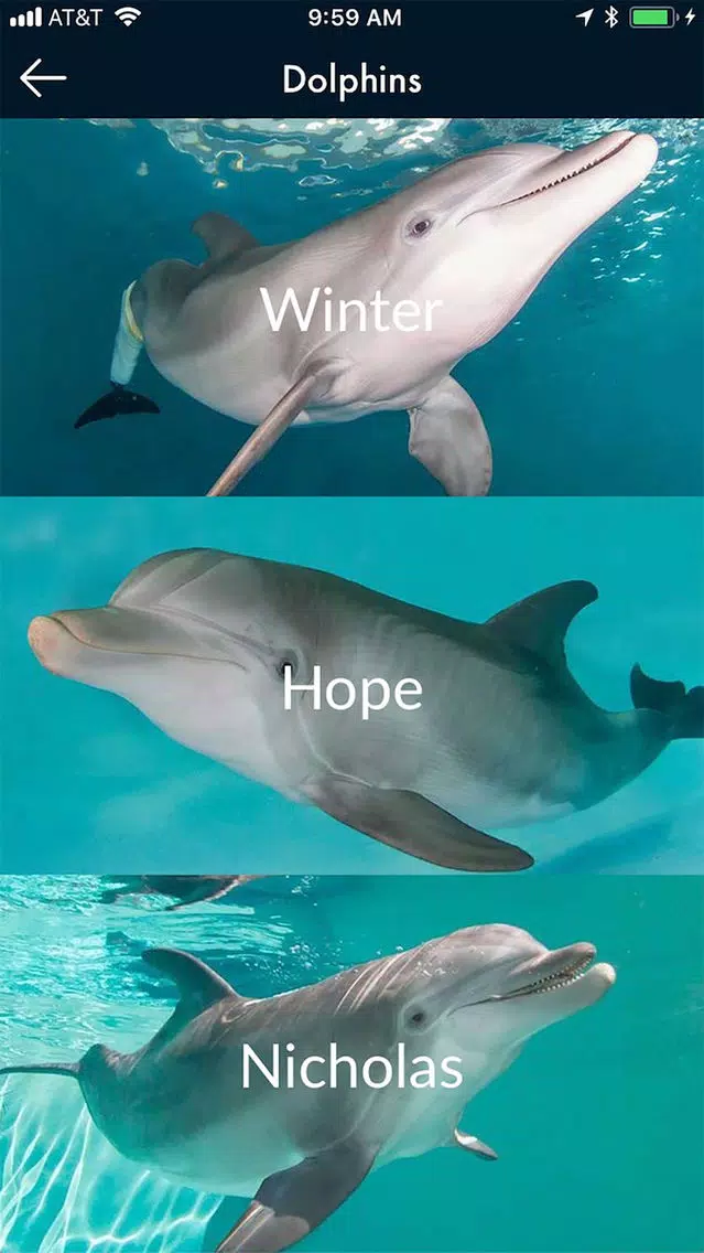 صور Clearwater Marine Aquarium