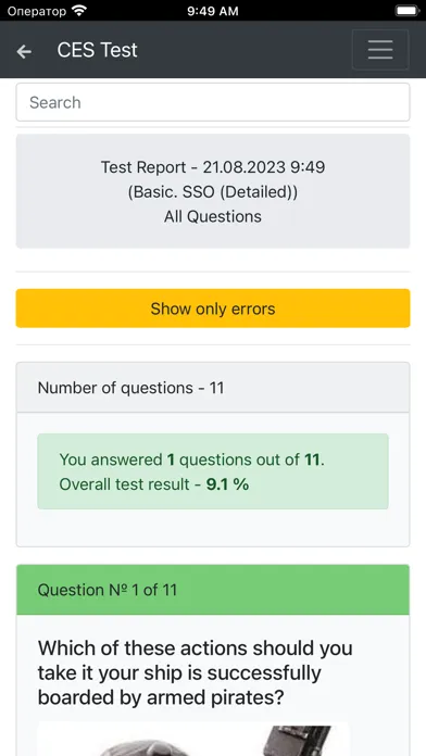 Basic. SSO Detailed CES Test スクリーンショット
