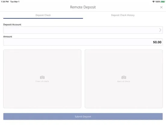 Zrzuty ekranu Magnifi Financial iPad 