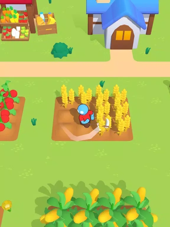 Zrzuty ekranu Big Farm Land iPad 
