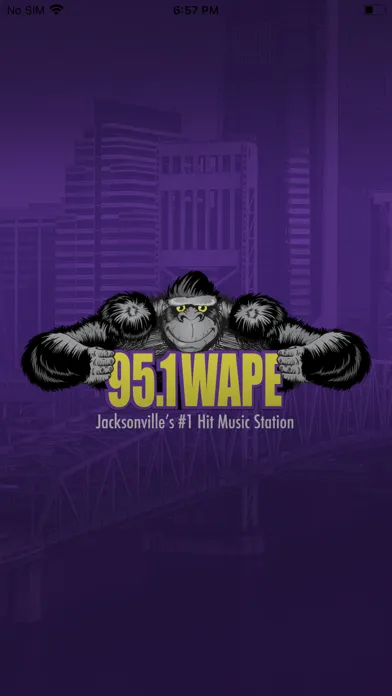 95.1 WAPE Jacksonville 스크린샷