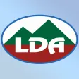 CMMS LDA