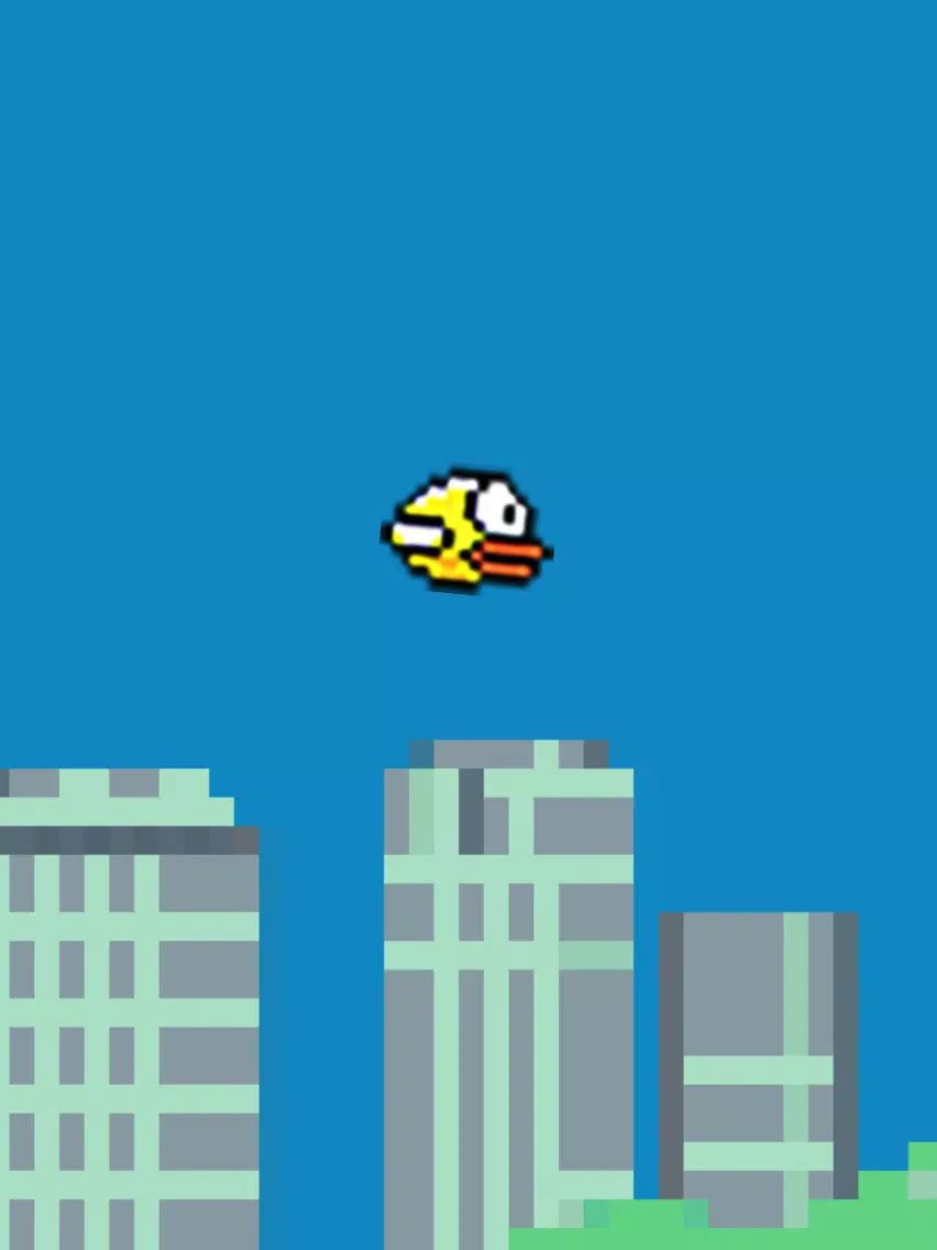 Fluppy Single Bird iPad 应用截图