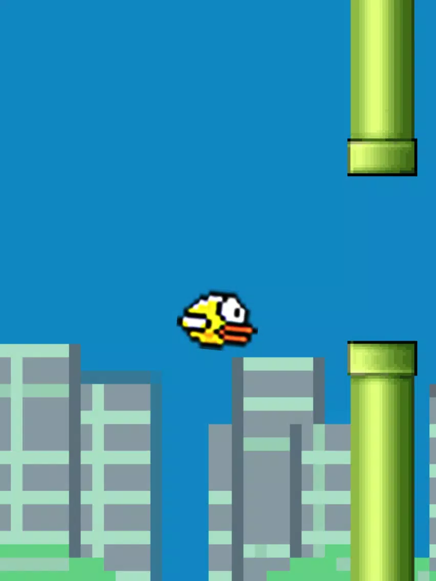 Fluppy Single Bird iPad 应用截图