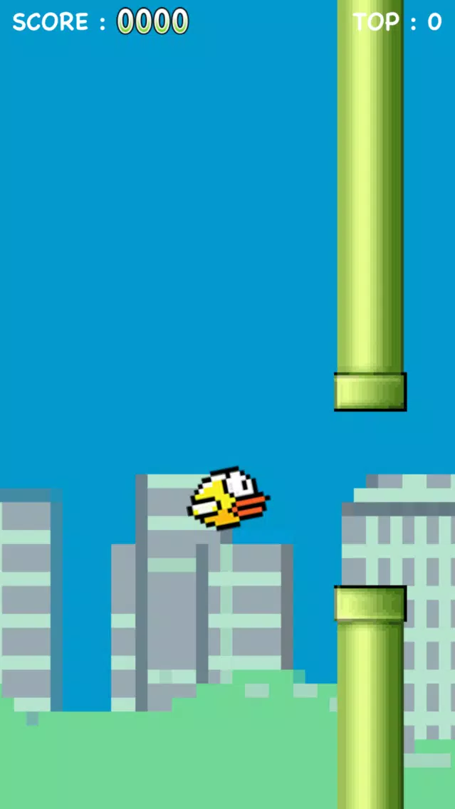Fluppy Single Bird应用截图