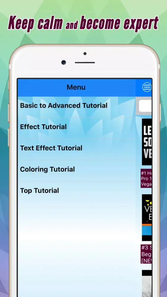 Videos Training & Tutorial For Sony Vegas Pro Screenshots