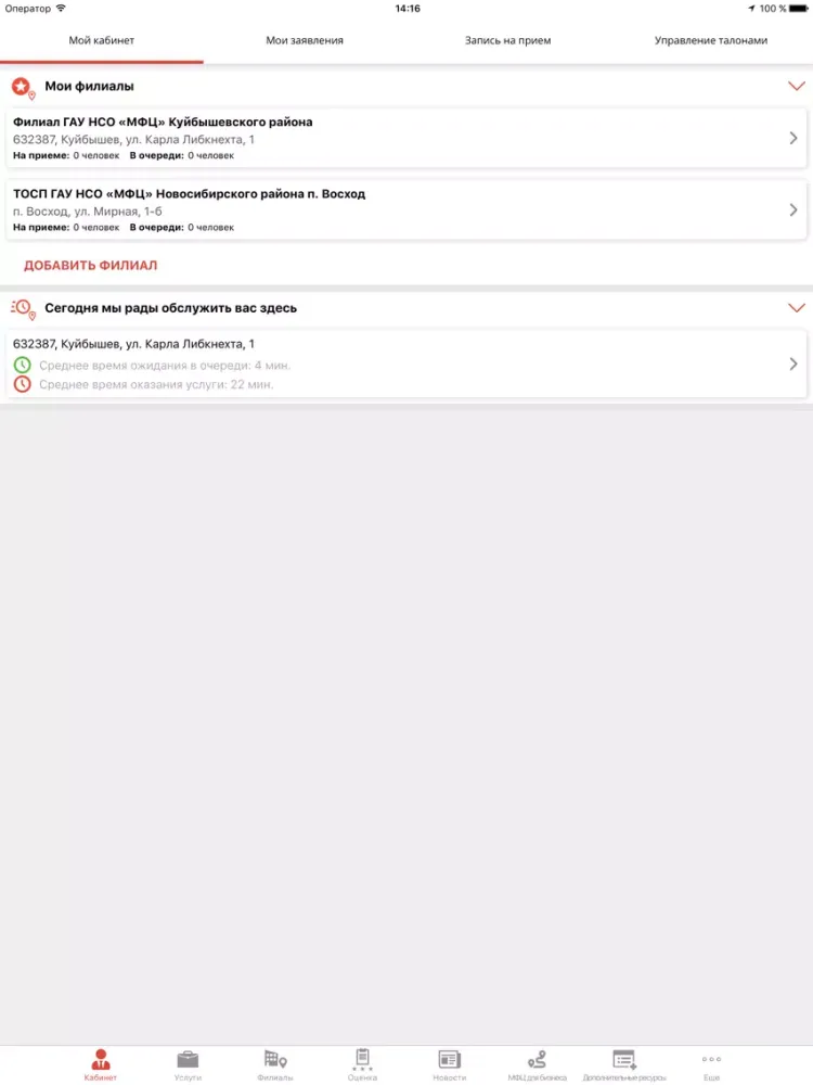 Capturas de tela do МФЦ Новосибирской области iPad 