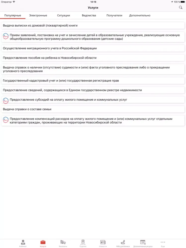 Capturas de tela do МФЦ Новосибирской области iPad 