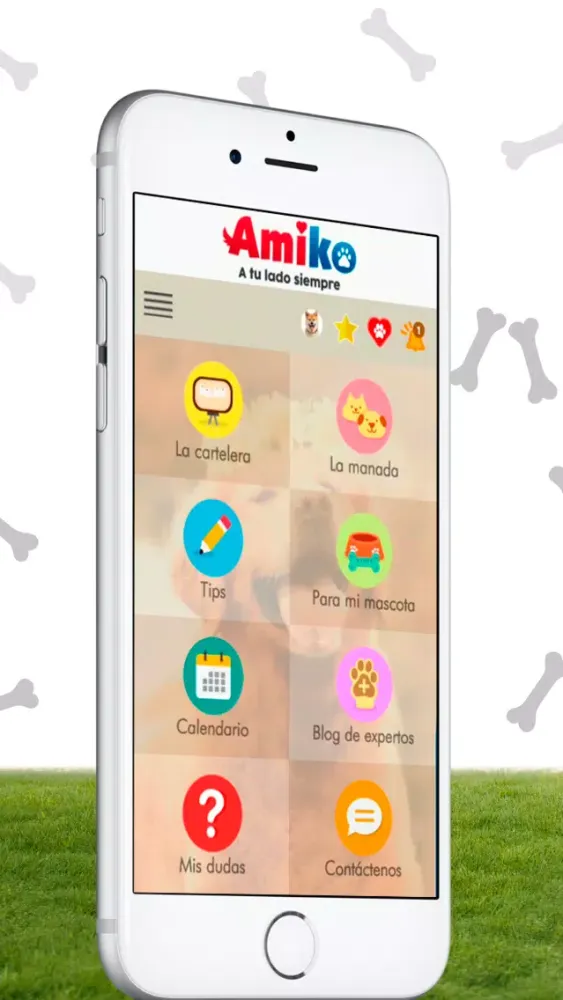 تصاویر Amiko